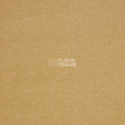 Ковролин AW Sentiment 54 фото 1 | FLOORDEALER